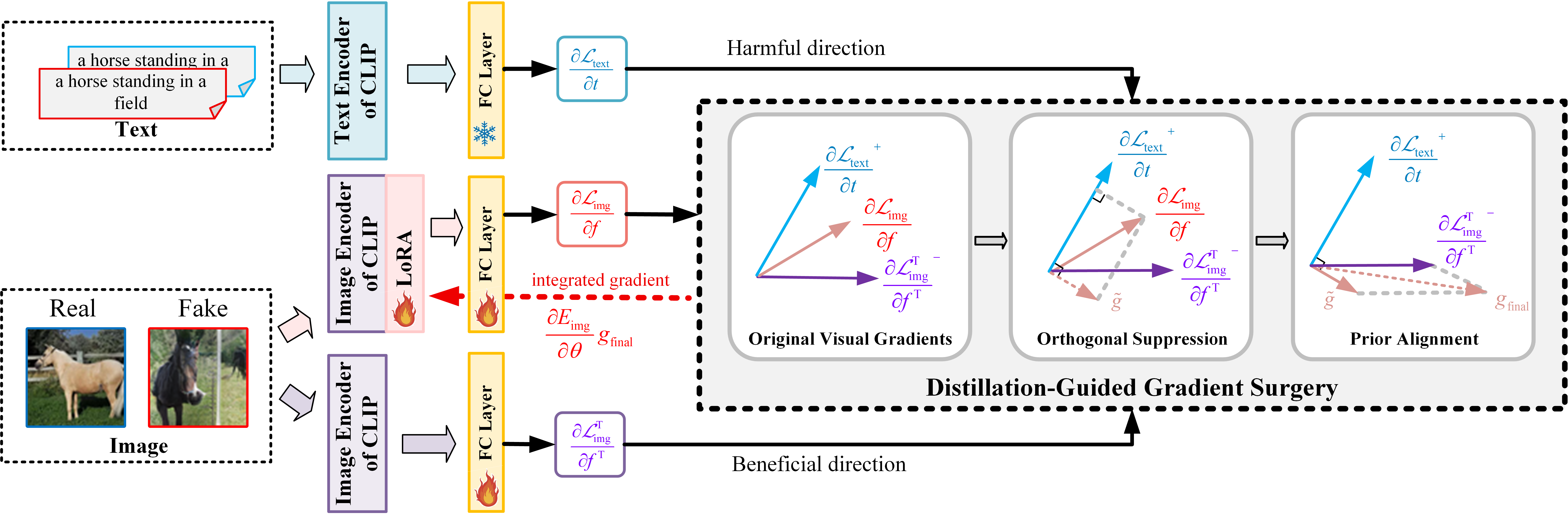 DGS-Net pipeline